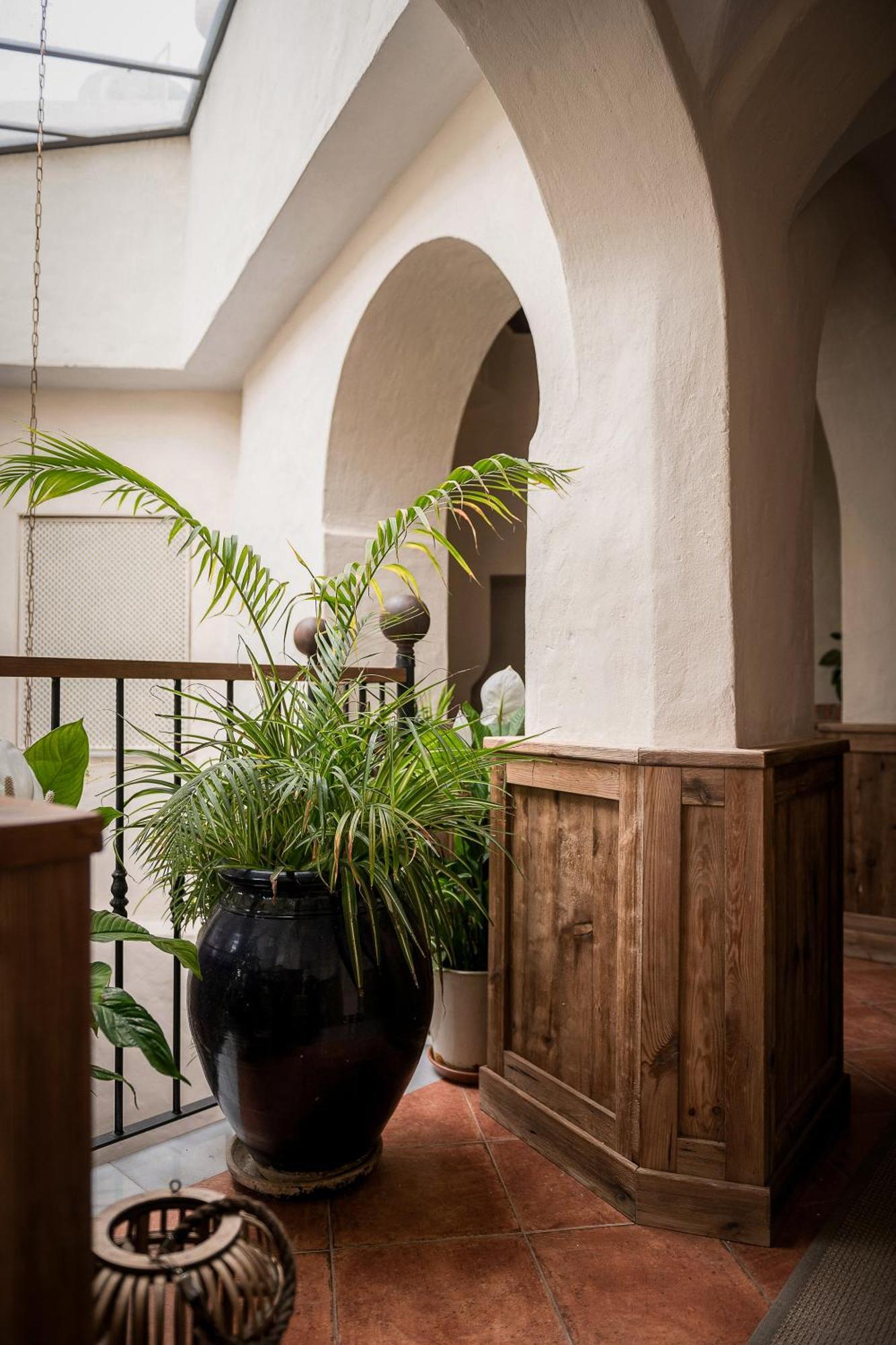 Las Palmeras Del Califa Vejer de la Frontera Extérieur photo
