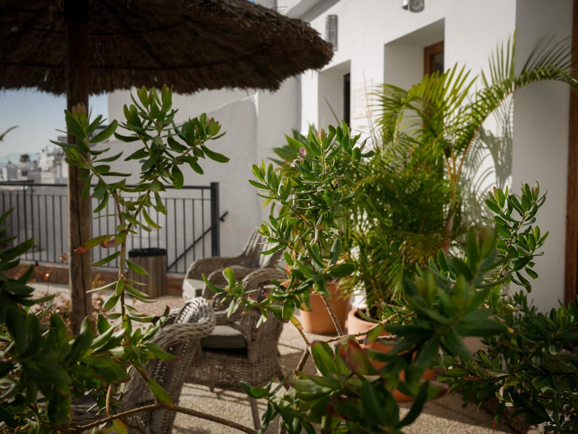 Las Palmeras Del Califa Vejer de la Frontera Extérieur photo